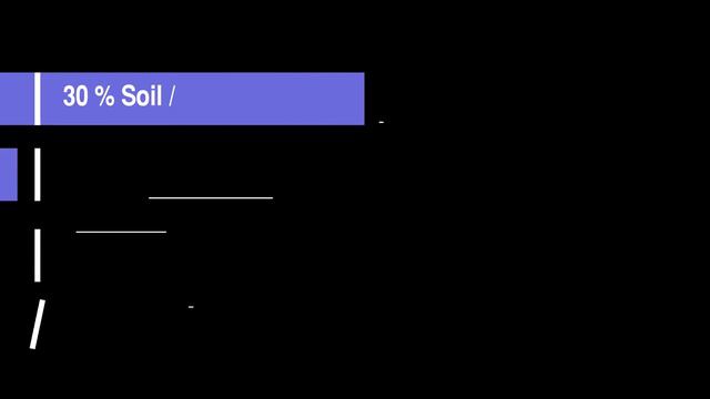 Philodendron Burle Marx Variegated Care And Full Details смотреть онлайн