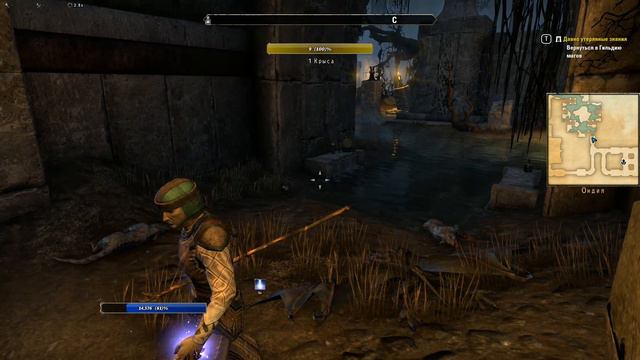 TES Online: Гильдия магов. Начало