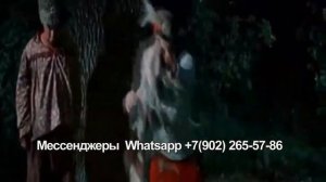 Как весело поздравить мужчин с 23 февраля, коллегам от женщин