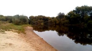 река десна 2021 сентябрь.mp4