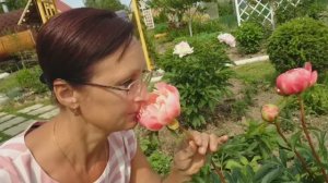 Видео привет с 6 соток 17 июня 2023 года 1 версия плохой звук