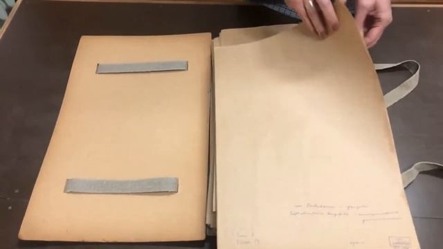 Экскурсия по гербарному фонду музея смотреть онлайн