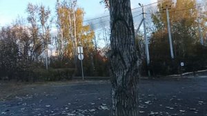 тест перцового баллона Жгучий Перчик