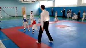 Соревнования по тхэквондо в Кашире 02 ноября 2014 года