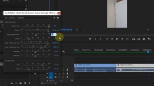 How to Add Reverb / Echo Effect in Premiere Pro
