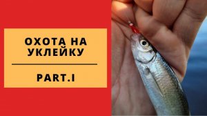 #6 #ультралайт Охота на уклейку. День 1