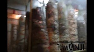 Туманообразование для грибов вешенка