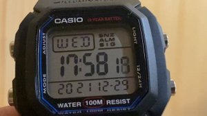 Честные часы Casio W-800H