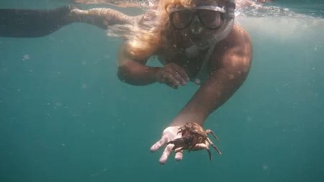 Лисья бухта 2016 смотреть онлайн