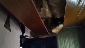 Гуманитарная помощь людям в селе Яровая Донецкой области конец ноября 2022