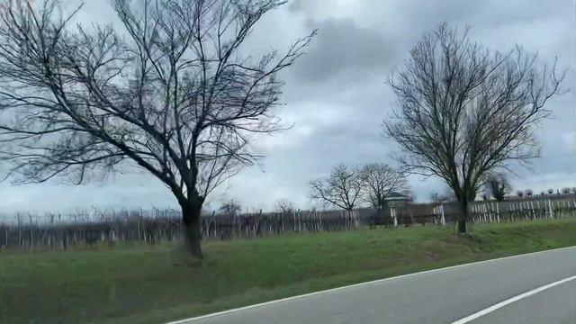 Каждый сам за себя. #германия #германияпорусски #жизнь50