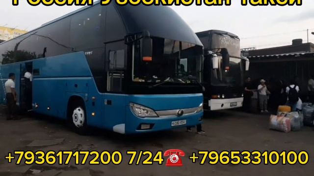 автобус,россия_узбекистан,автобус санкт-петербург_Ташкент,автобус москва_бухара #новости #рек #такс