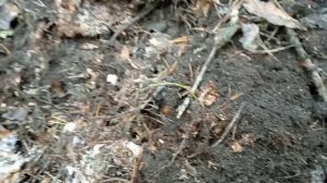 открытие сезона 2024