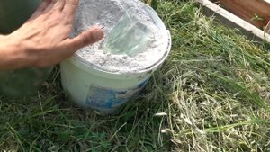 ТЕХНОЛОГИЯ ВЫРАЩИВАНИЯ ТОМАТОВ КАК В ОТКРЫТОМ ТАК И ЗАКРИТОМ ГРУНТЕ