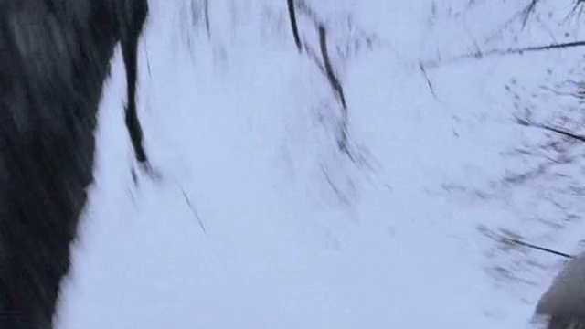 Диверсант