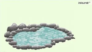 Появление жизни на Земле