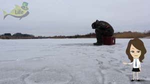 Как поймать рыбу в глухозимье? Где искать рыбу в глухозимье? На что ловить в глухозимье?