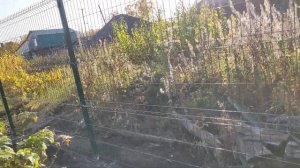 Монтаж забора из свароной сетки. 3D забор. Работы закончены.