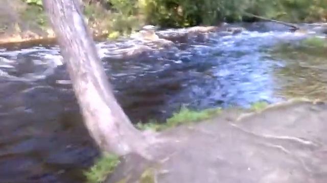 Саблинский памятник природы смотреть онлайн