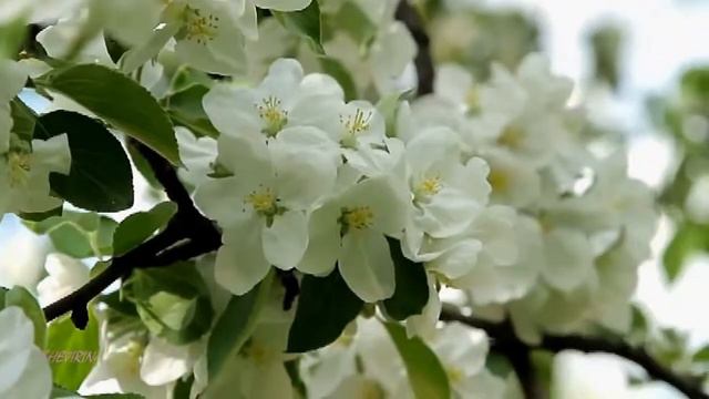 просто Весна смотреть онлайн