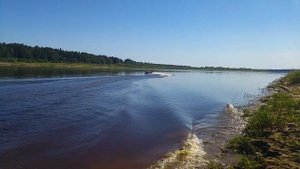 Аллюминевый Риб RIB Мнев и Ко Кайман 450