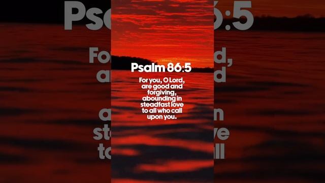 #bible #bibleverse #bibleverses #dailybible #dailybibleverse #dailybibleverses #scripture