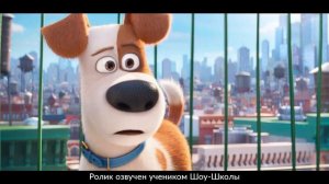 Демо. Дубляж. «Тайная жизнь домашних животных», фрагмент.