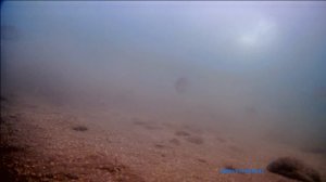 Шелеховские карьеры. 13 ноября 2022 год