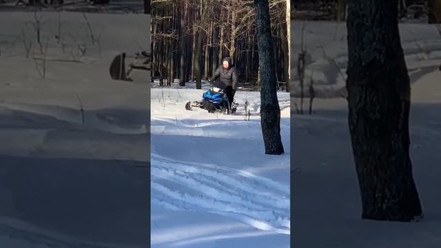 Ataki wd 150 в лесу смотреть онлайн