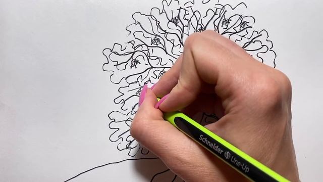 Как нарисовать Дерево ЛИПА/Простые рисунки из простых линий