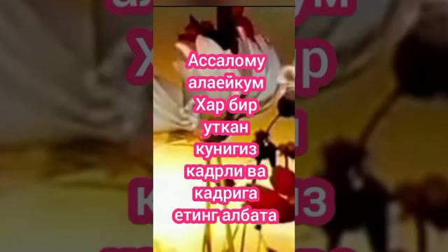 Хар бир кун смотреть онлайн