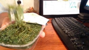 БатлФуд | Морская капуста vs Чука