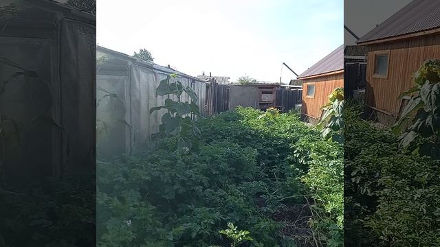 Наш огород!Осень.