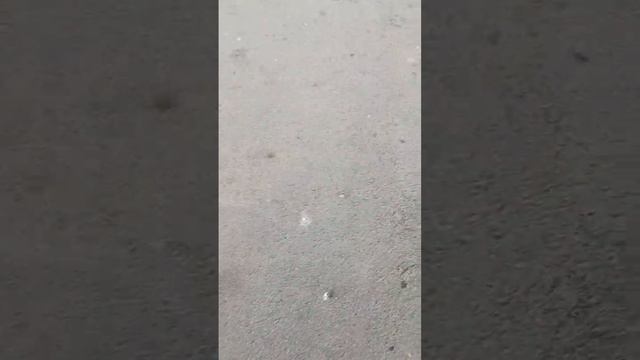 голубой автобус 2 смотреть онлайн