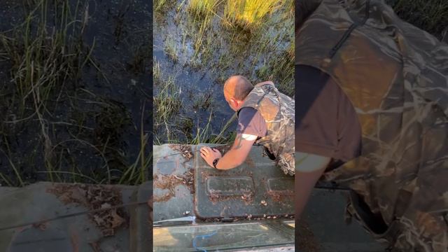 ВОЛЬЕРНАЯ ОХОТА НА КАБАНА