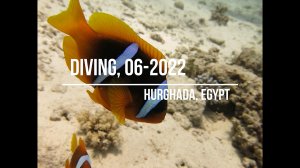 Egypt, 2022, June. - Hurghada. Diving  videos
