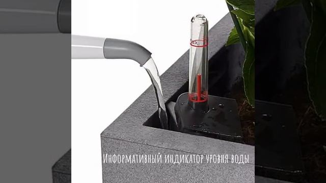 Кашпо для цветов ? LECHUZA TRIO Cottage с автополивом ? #shorts #lechuzamoscow #автополив смотреть онлайн