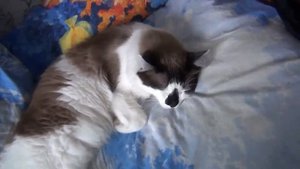 Гроубокс ( GrowBox ) Гидропоника : Удобрения, GHE (General Hydroponics) FLORA SERIES