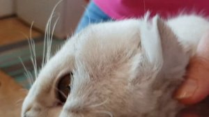 ГЕРКУЛЕСОВАЯ КАША, рецепт вкуснятины НА ЗАВТРАК! Как и сколько варить кашу НА МОЛОКЕ.