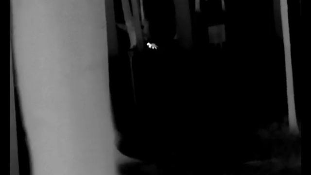 Lynx Pro LH19 HIKMiCRO impressions смотреть онлайн