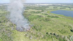 Начало лесного пожара с.Красноусово Тюкалинский район