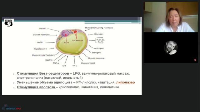 Освоение холодного лазерного липолиза комплексный обучающий вебинар.