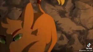 Чему нас научили коты воители