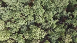 Музыка для настроения