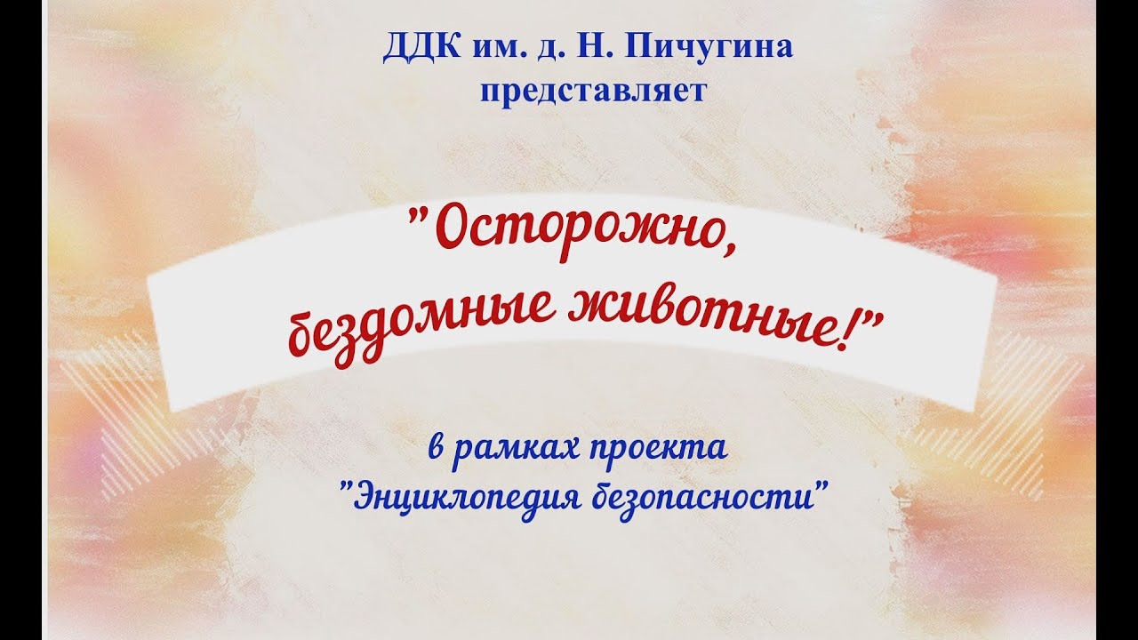 "Осторожно, бездомные животные!" ДДК им. Д.Н.Пичугина.Новосибирск, 2022г.