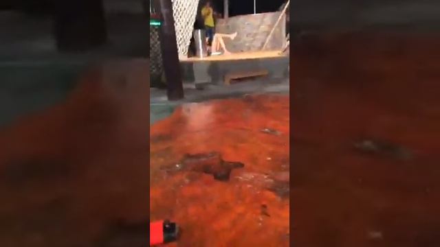 Илья Кротков на Сейшельских островах. Перископ смотреть онлайн