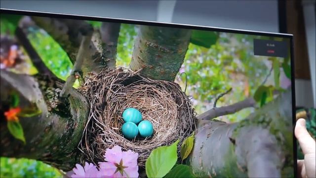 [광고] MSI 프로 MP241X 아이케어 ﻿24인치모니터 OSD, 디스플레이 키트 смотреть онлайн