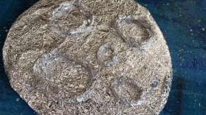 мишка и луна