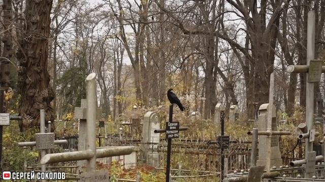 Попали под ОБСТРЕЛ на Кладбище | Мертвые Предупредили об УГРОЗЕ | ЭГФ | ФЭГ
