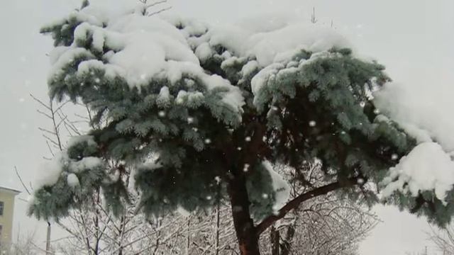 Наталья Кулакова. Стихи.  Стучится год загадкой в дверь. Новогодний этюд.